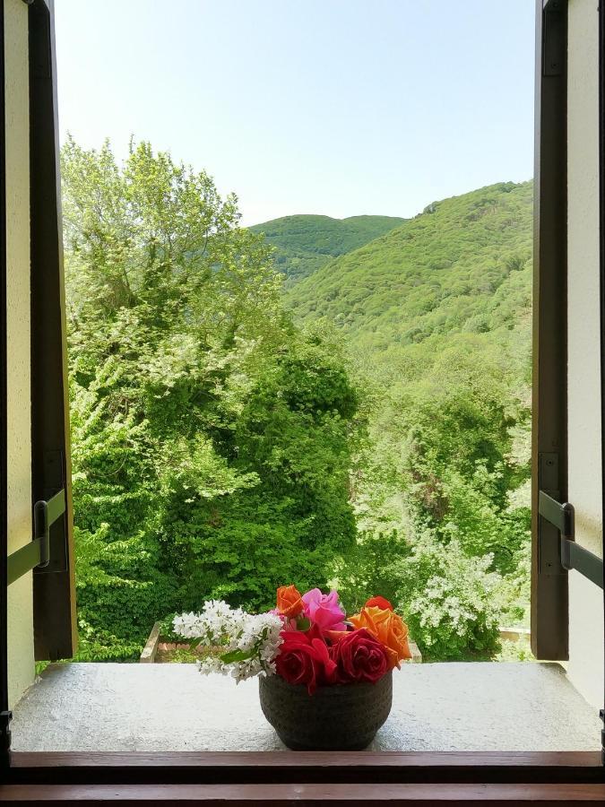 Amalthia Traditional Guesthouse Tsagarada Exterior photo